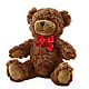 Adorable Plush Bear – Rosemary Flower Shop Inc, Wappingers Falls NY