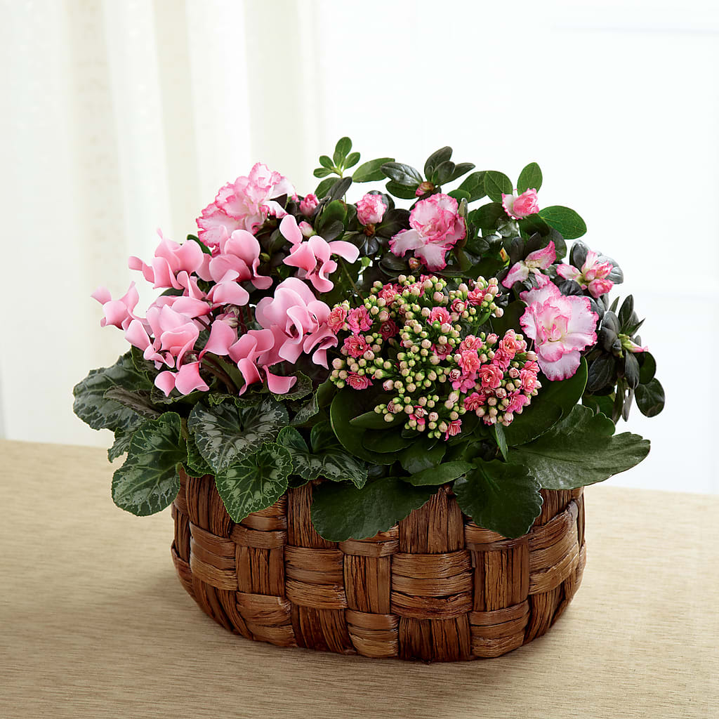 Pink Assortment – Rosemary Flower Shop Inc, Wappingers Falls NY