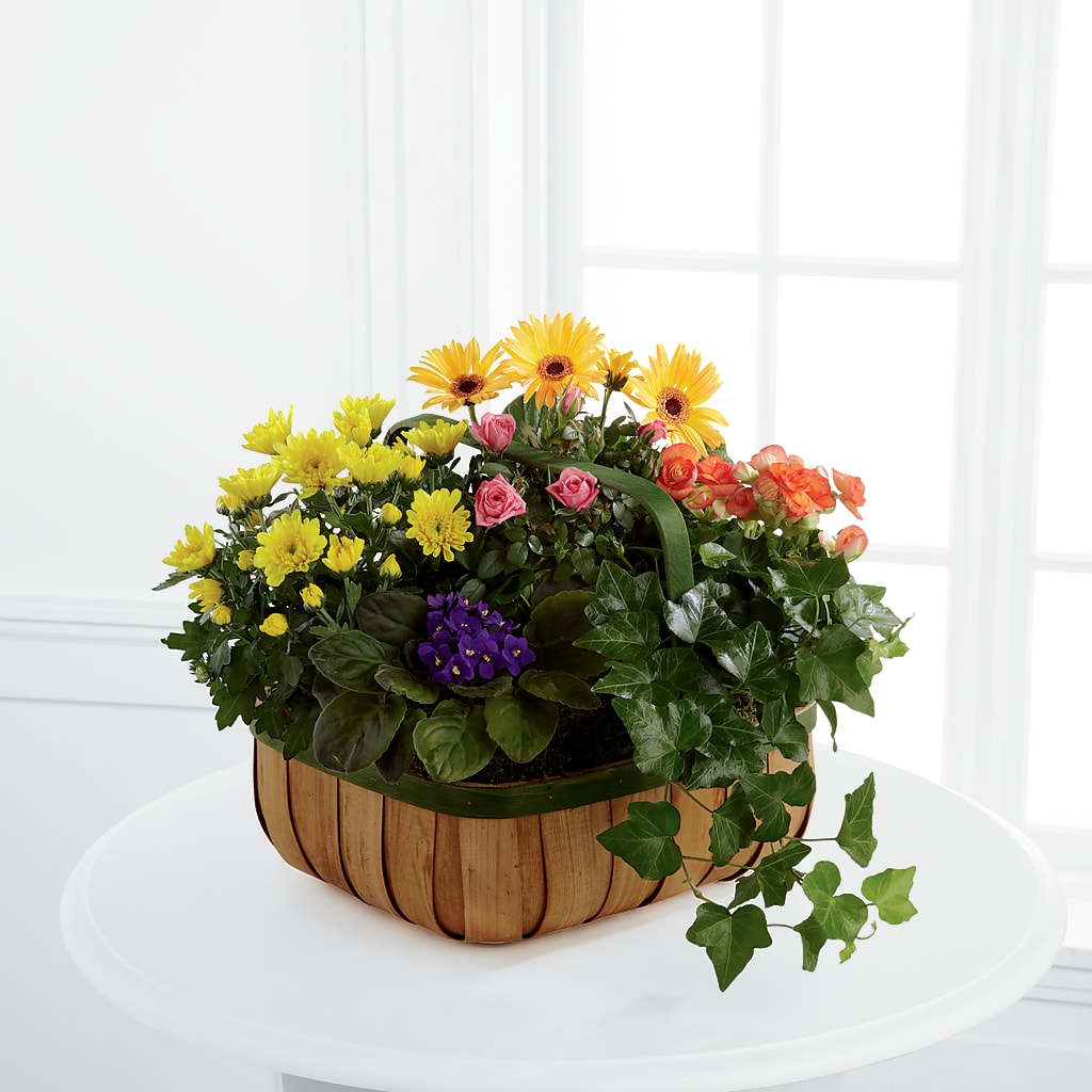 Gentle Blossoms Basket – Rosemary Flower Shop Inc, Wappingers Falls NY