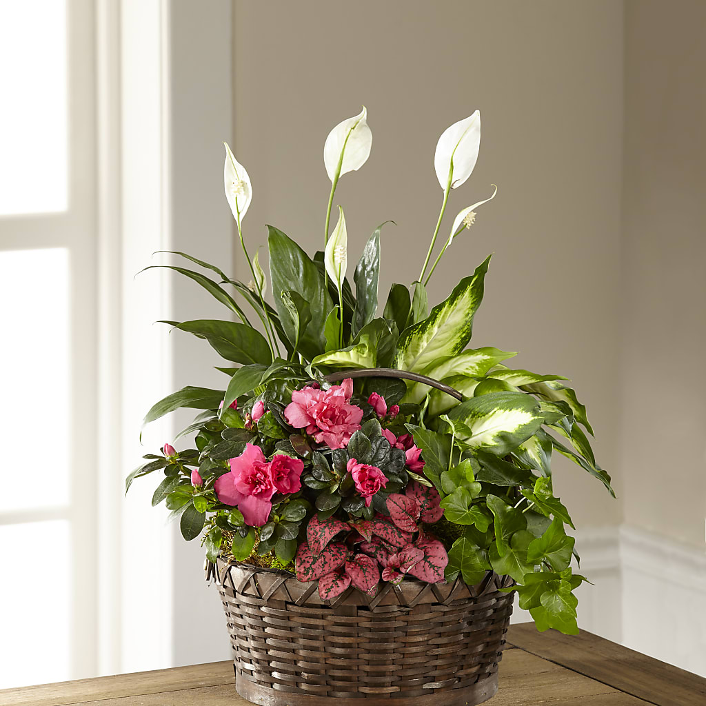 Dream in Pink Dishgarden – Rosemary Flower Shop Inc, Wappingers Falls NY