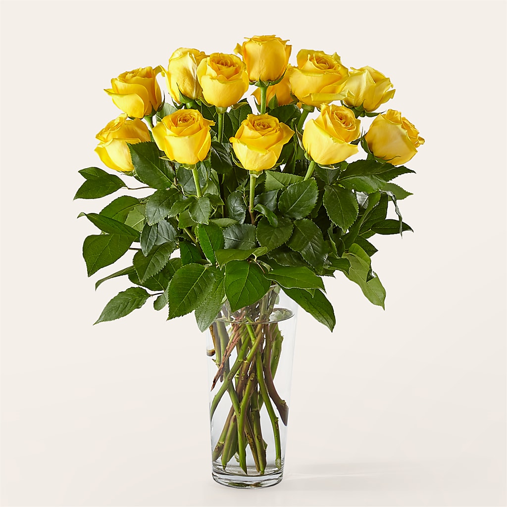 Long Stem Yellow Rose Bouquet – Rosemary Flower Shop Inc, Wappingers Falls NY