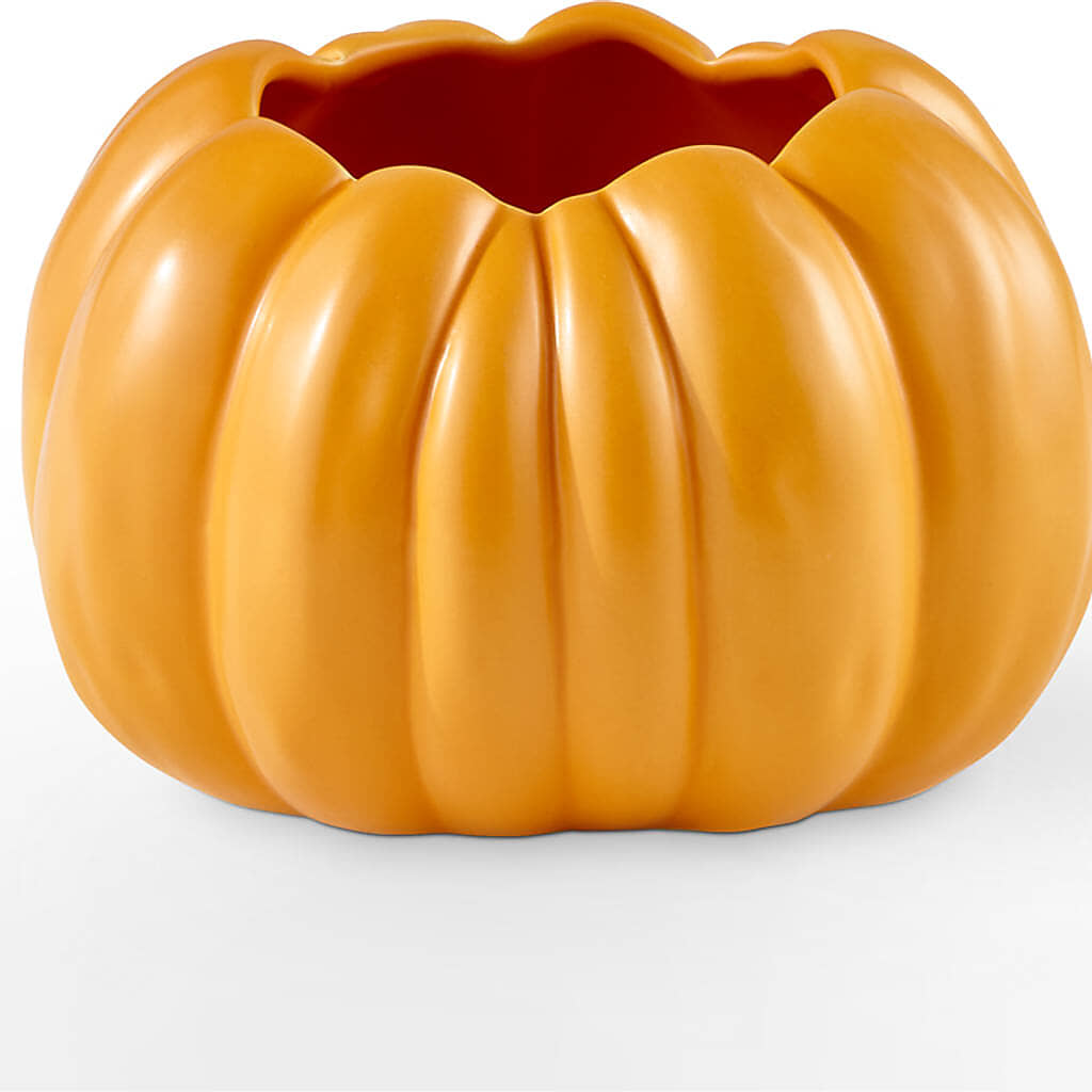Pick of the Patch Pumpkin Bouquet – Rosemary Flower Shop Inc, Wappingers Falls NY