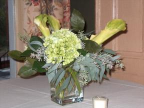 CALA LILY TRUMPET BEAUTY – Rosemary Flower Shop Inc, Wappingers Falls NY