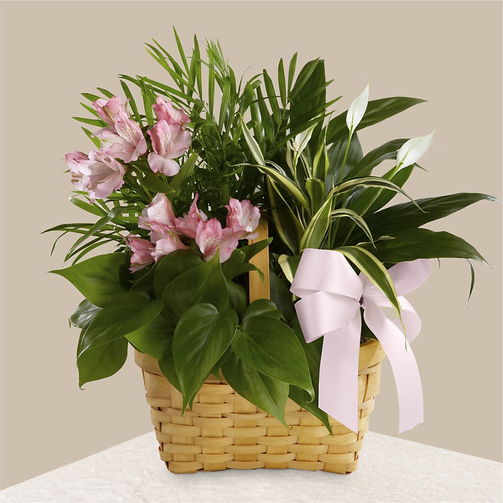 Living Spirit Dishgarden – Rosemary Flower Shop Inc, Wappingers Falls NY