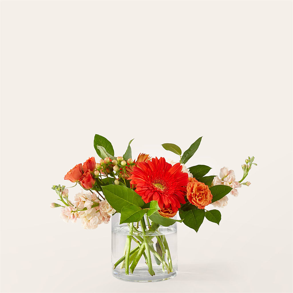 Paloma Please Bouquet – Rosemary Flower Shop Inc, Wappingers Falls NY
