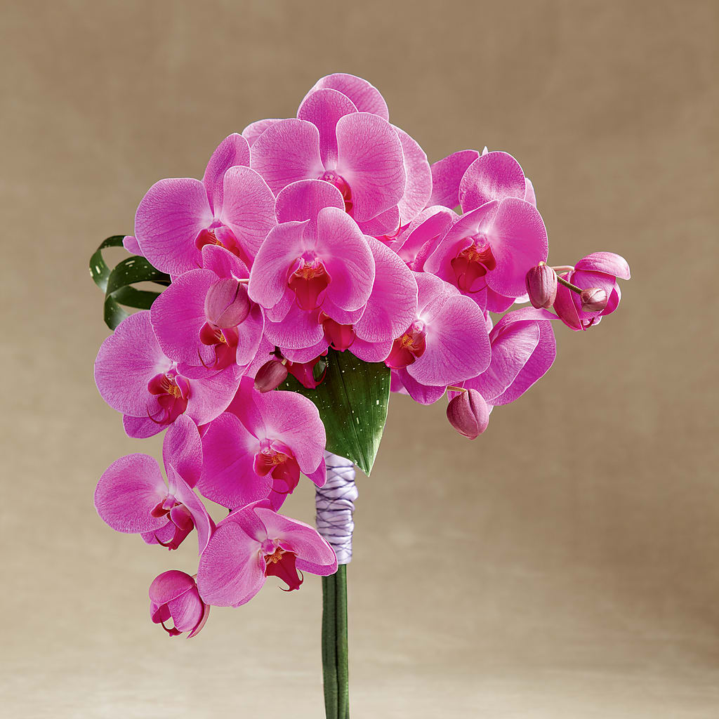 Glorious Bouquet – Rosemary Flower Shop Inc, Wappingers Falls NY