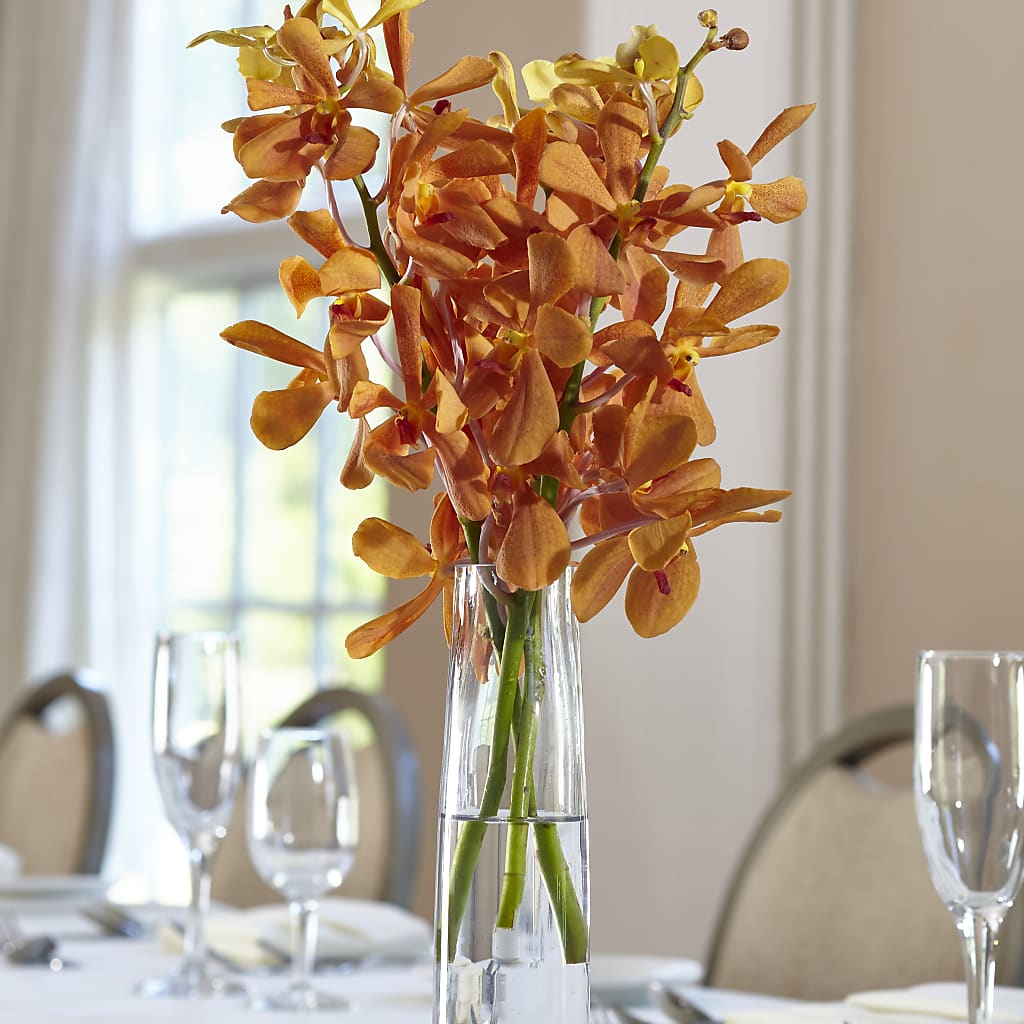 Orange Mokara Bud Vase – Rosemary Flower Shop Inc, Wappingers Falls NY