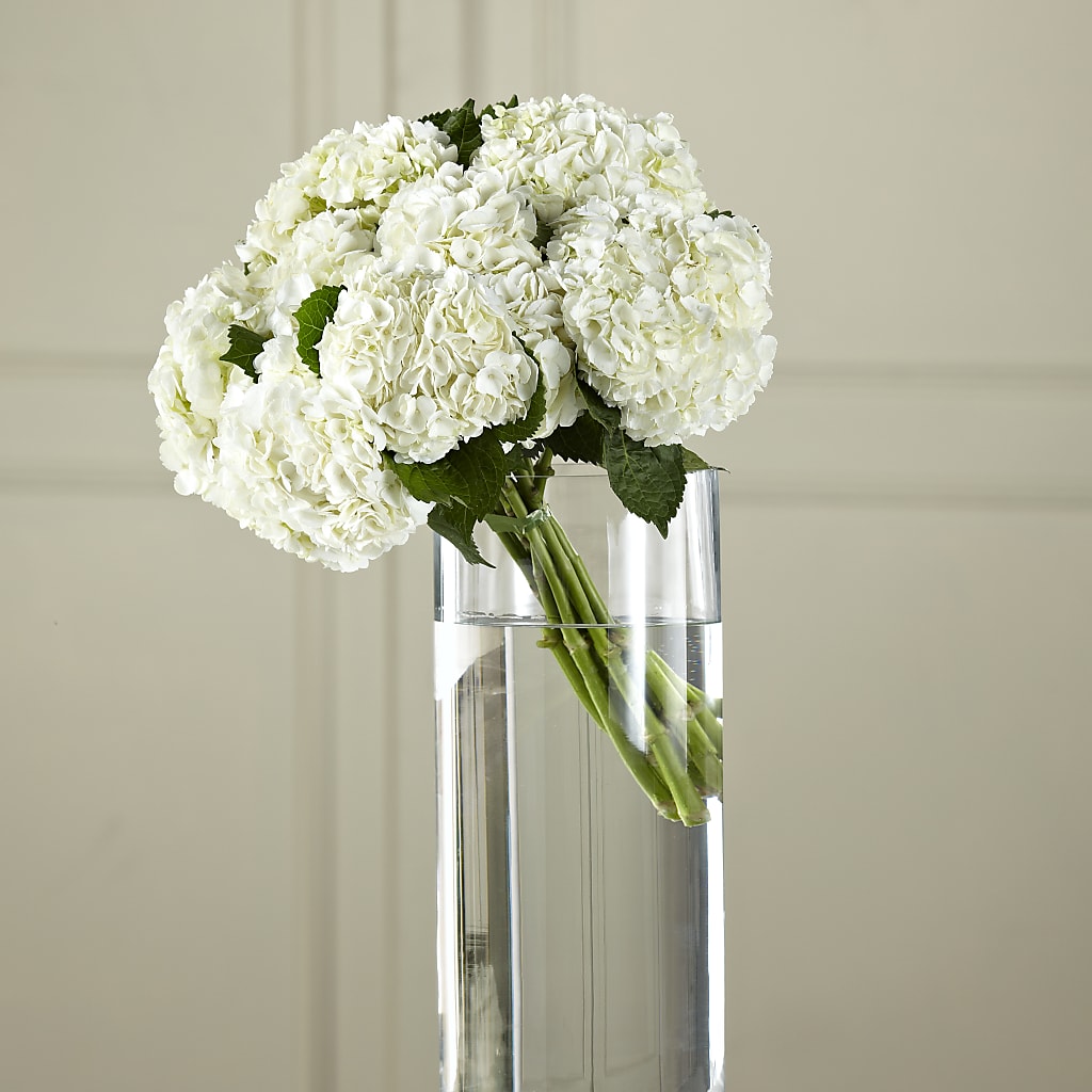 White Hydrangea Hand-Tied Bouquet – Rosemary Flower Shop Inc, Wappingers Falls NY