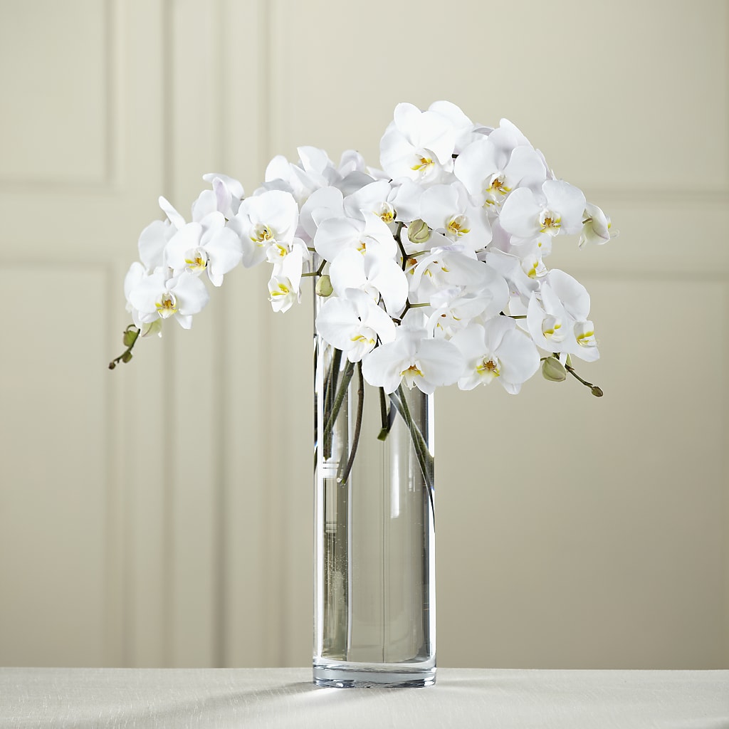 White Phalaenopsis Bouquet – Rosemary Flower Shop Inc, Wappingers Falls NY