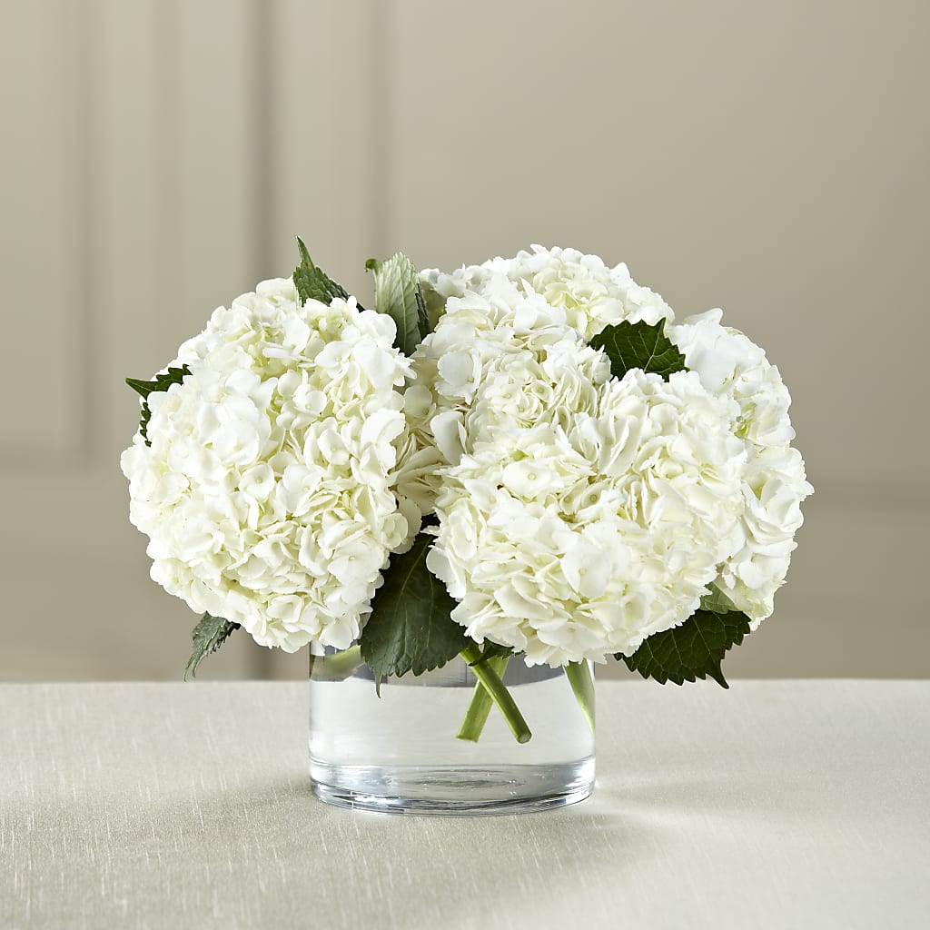 White Hydrangea Bouquet – Rosemary Flower Shop Inc, Wappingers Falls NY