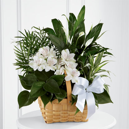 Peace & Serenity Dishgarden –  Rosemary Flower Shop Inc, Wappingers Falls NY