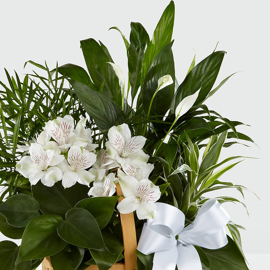 Peace & Serenity Dishgarden –  Rosemary Flower Shop Inc, Wappingers Falls NY