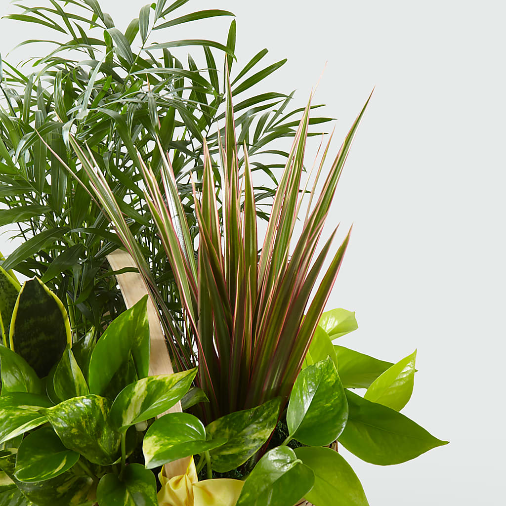 French Garden –  Rosemary Flower Shop Inc, Wappingers Falls NY