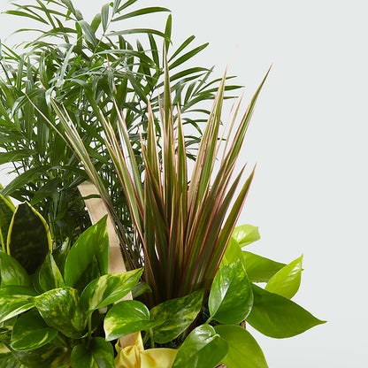 French Garden –  Rosemary Flower Shop Inc, Wappingers Falls NY