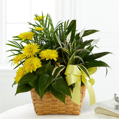 Loving Light Dishgarden –  Rosemary Flower Shop Inc, Wappingers Falls NY