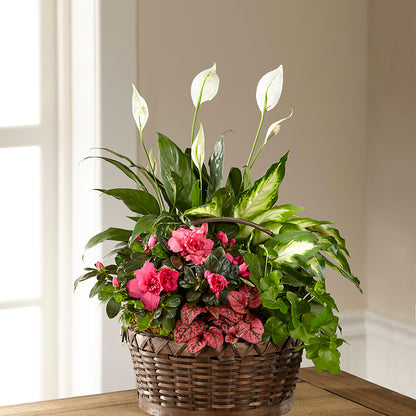Dream in Pink Dishgarden –  Rosemary Flower Shop Inc, Wappingers Falls NY