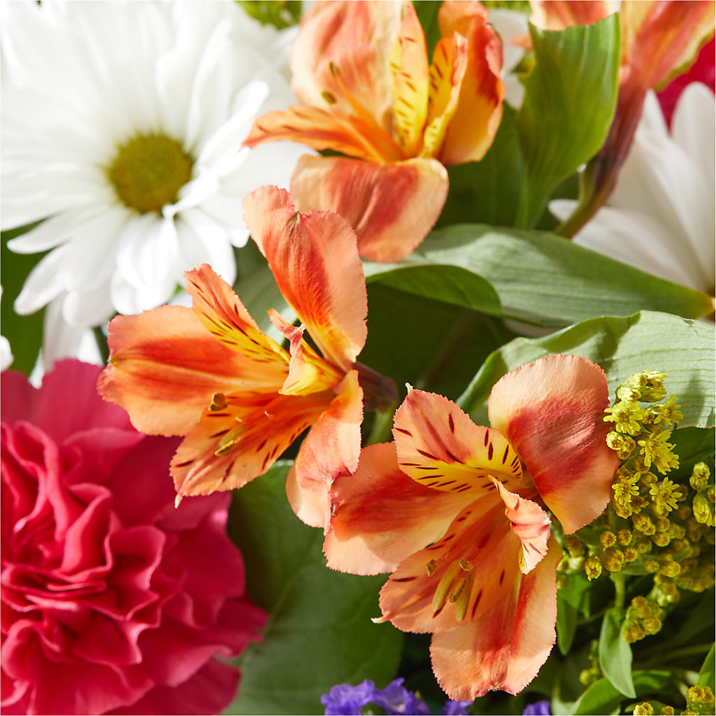 Oopsie Daisy Box Bouquet –  Rosemary Flower Shop Inc, Wappingers Falls NY