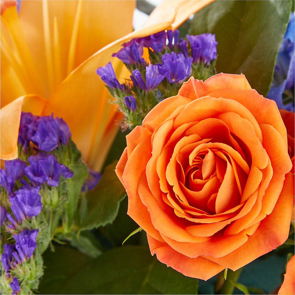 Radiant Citrus Box Bouquet –  Rosemary Flower Shop Inc, Wappingers Falls NY