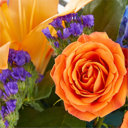 Radiant Citrus Box Bouquet –  Rosemary Flower Shop Inc, Wappingers Falls NY
