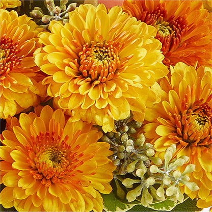 Peachy Pumpkin –  Rosemary Flower Shop Inc, Wappingers Falls NY