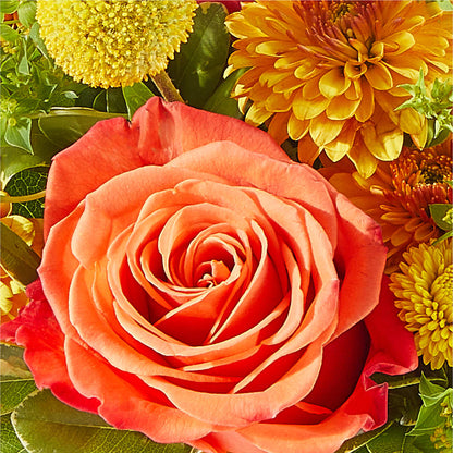 Gourdgeous Pumpkin –  Rosemary Flower Shop Inc, Wappingers Falls NY