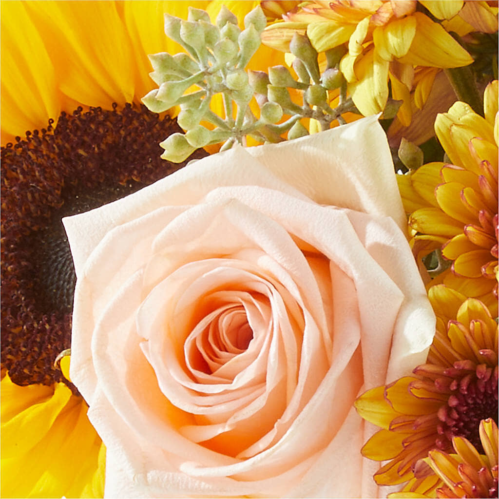Pumpkin to Talk About Bouquet –  Rosemary Flower Shop Inc, Wappingers Falls NY