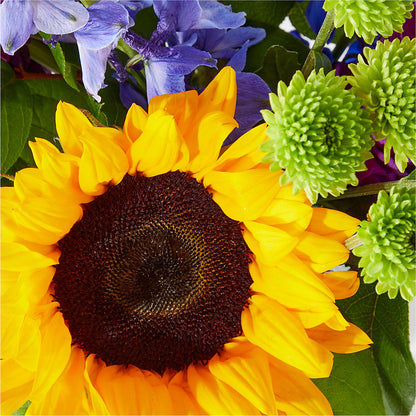 Catching Rays Bouquet –  Rosemary Flower Shop Inc, Wappingers Falls NY