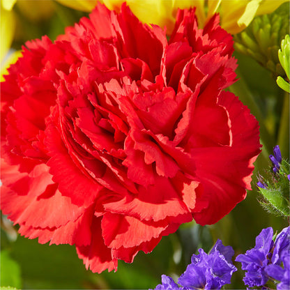 Brighter Days Bouquet –  Rosemary Flower Shop Inc, Wappingers Falls NY