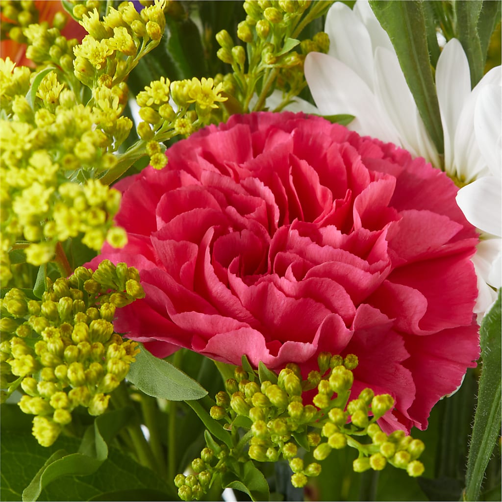 Oopsie Daisy Bouquet –  Rosemary Flower Shop Inc, Wappingers Falls NY