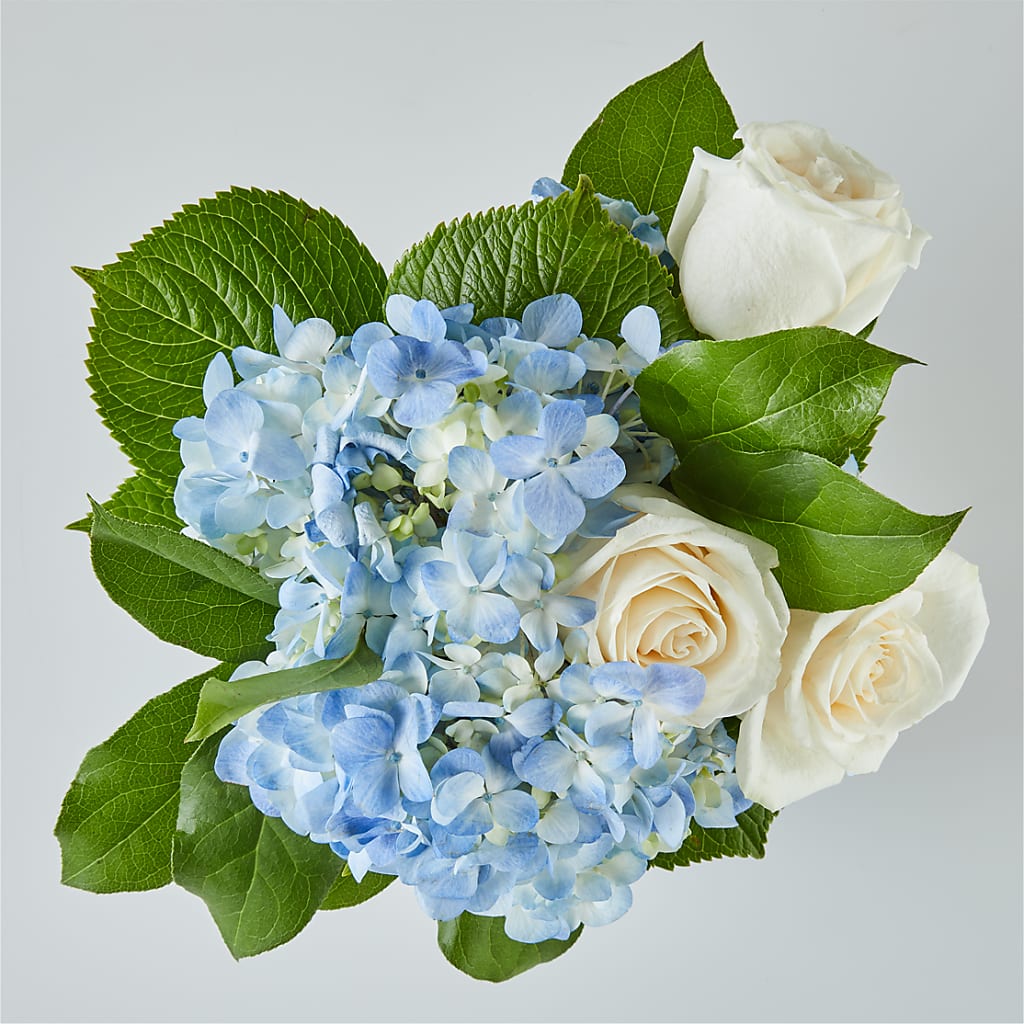 Sky Blue Delight Bouquet –  Rosemary Flower Shop Inc, Wappingers Falls NY