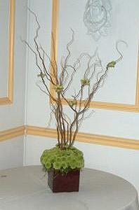 Wedding Floral