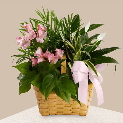 Living Spirit Dishgarden –  Rosemary Flower Shop Inc, Wappingers Falls NY
