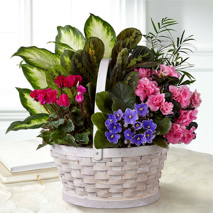 Peaceful Garden Planter –  Rosemary Flower Shop Inc, Wappingers Falls NY