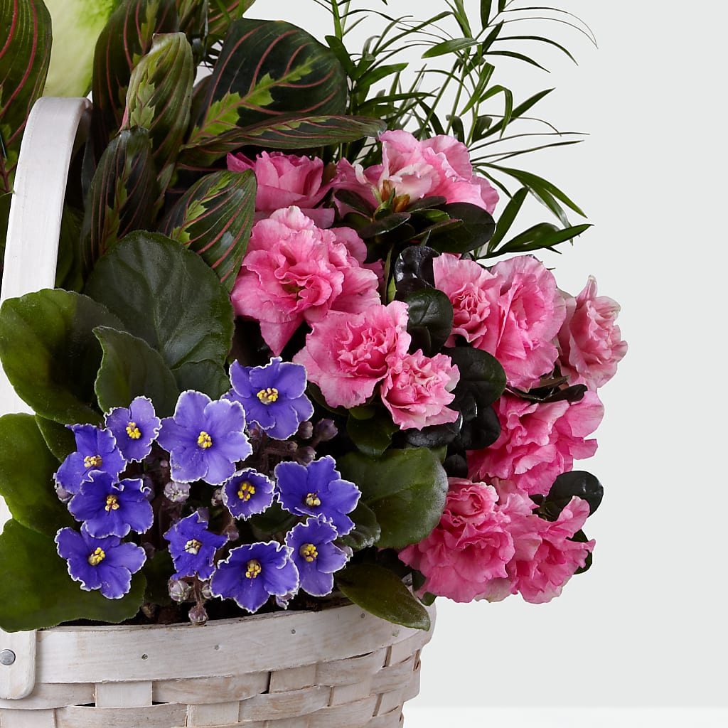 Peaceful Garden Planter –  Rosemary Flower Shop Inc, Wappingers Falls NY
