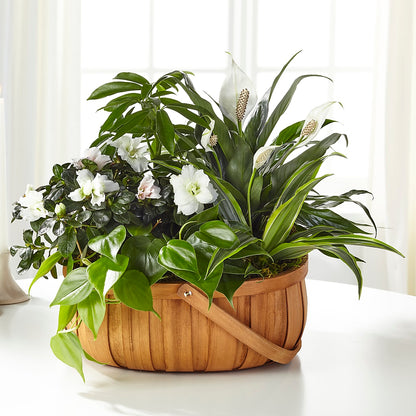 Serene Dishgarden –  Rosemary Flower Shop Inc, Wappingers Falls NY