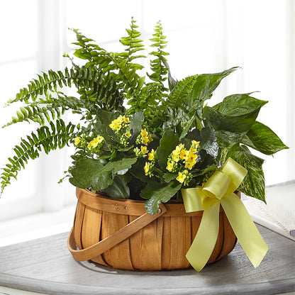 Always Dear Dishgarden –  Rosemary Flower Shop Inc, Wappingers Falls NY