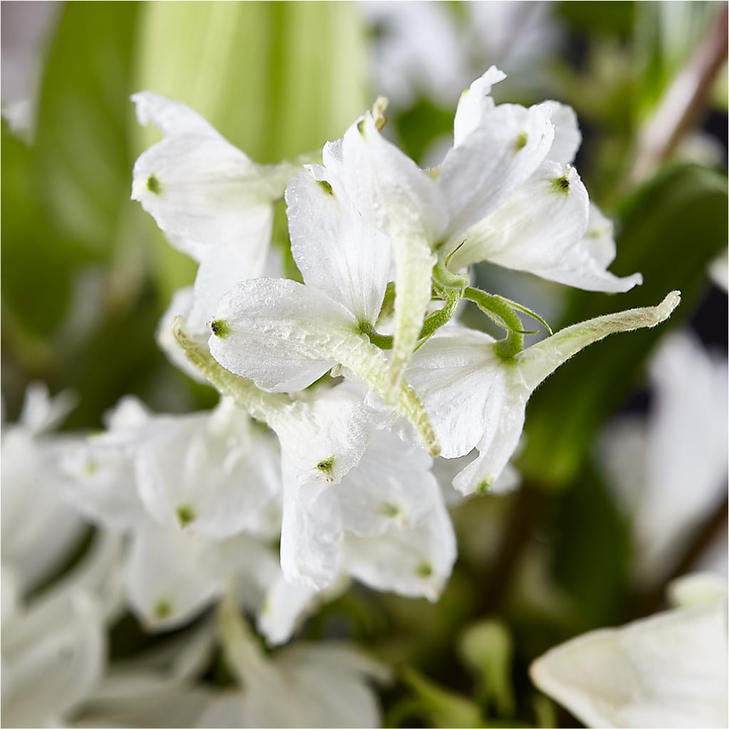 Classic Ivory – A Florist Original –  Rosemary Flower Shop Inc, Wappingers Falls NY