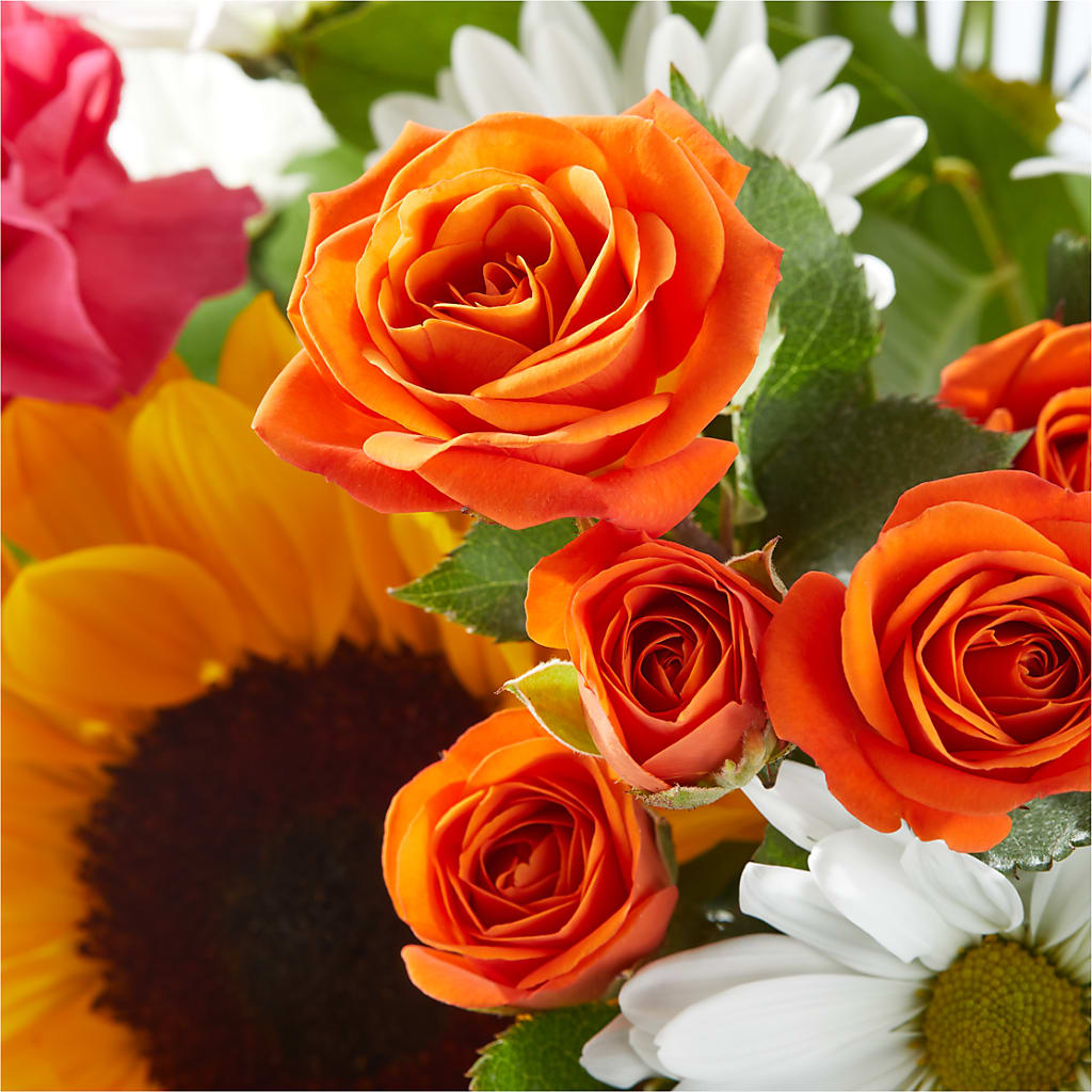 Sun-drenched Blooms Bouquet –  Rosemary Flower Shop Inc, Wappingers Falls NY