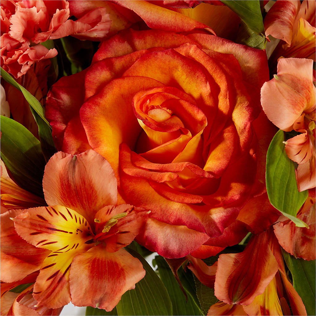 Apricot Glow Bouquet –  Rosemary Flower Shop Inc, Wappingers Falls NY