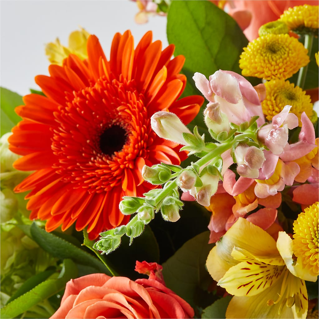 Autumn Sunshine Bouquet –  Rosemary Flower Shop Inc, Wappingers Falls NY