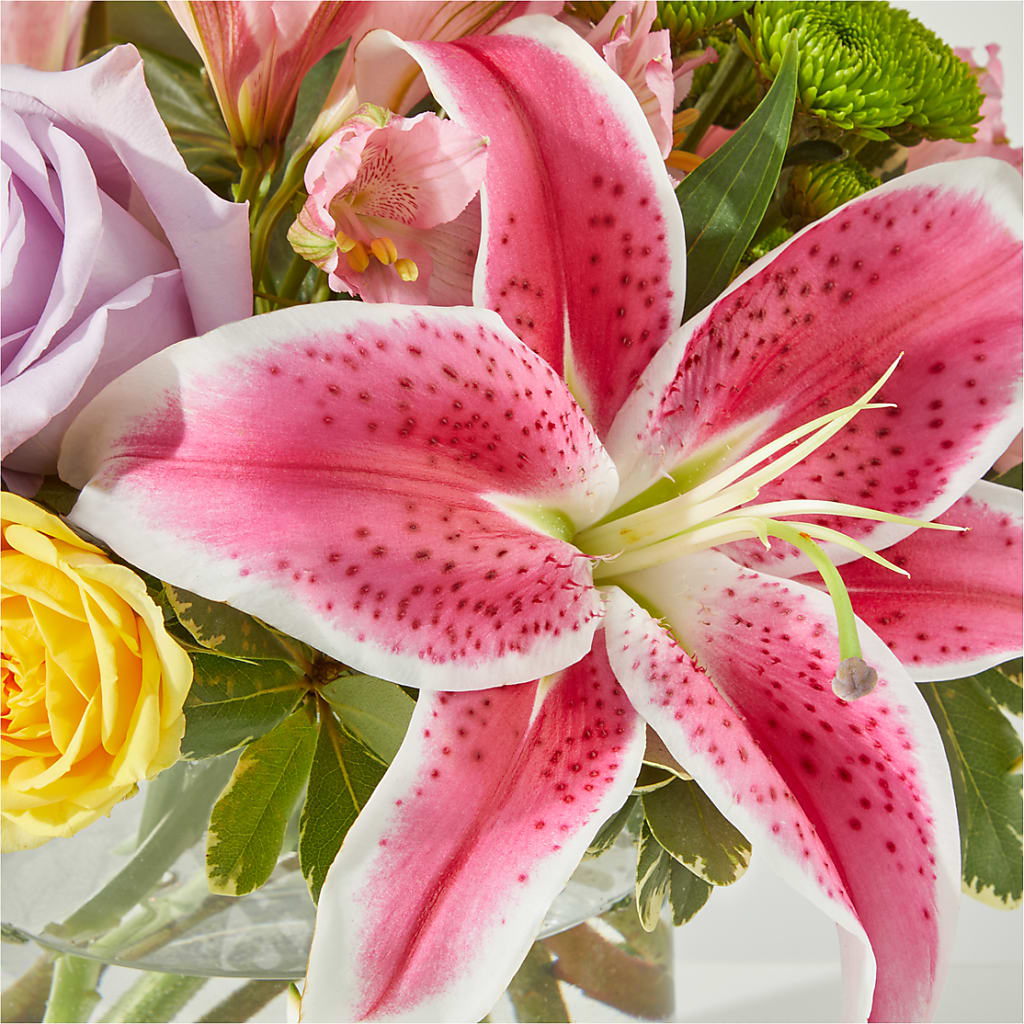 Serendipitous Blossoms Bouquet –  Rosemary Flower Shop Inc, Wappingers Falls NY
