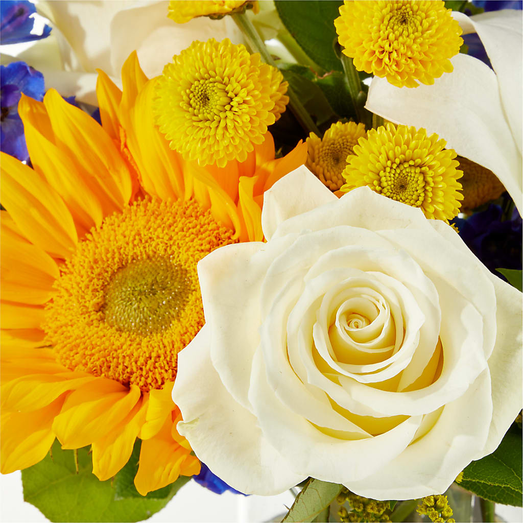 Stargazing Bouquet –  Rosemary Flower Shop Inc, Wappingers Falls NY