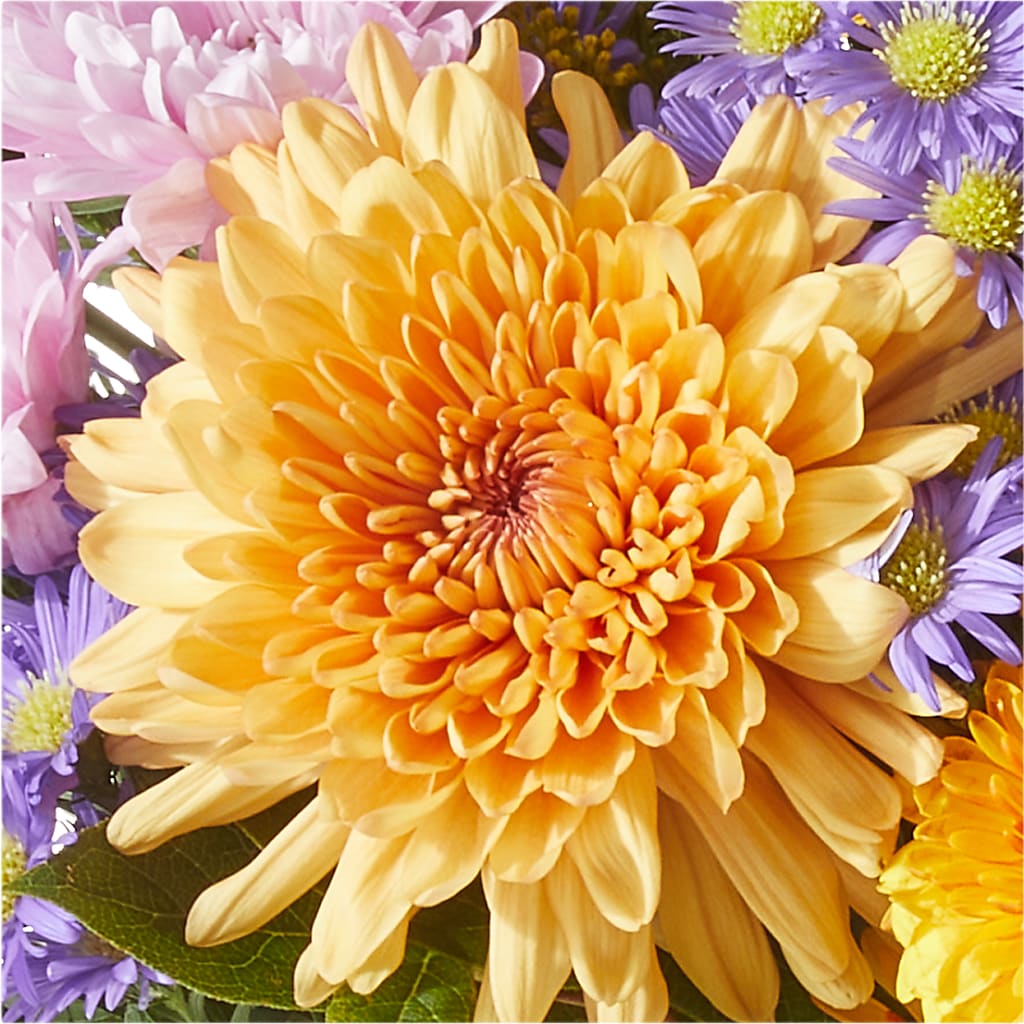 Countryside Bouquet –  Rosemary Flower Shop Inc, Wappingers Falls NY