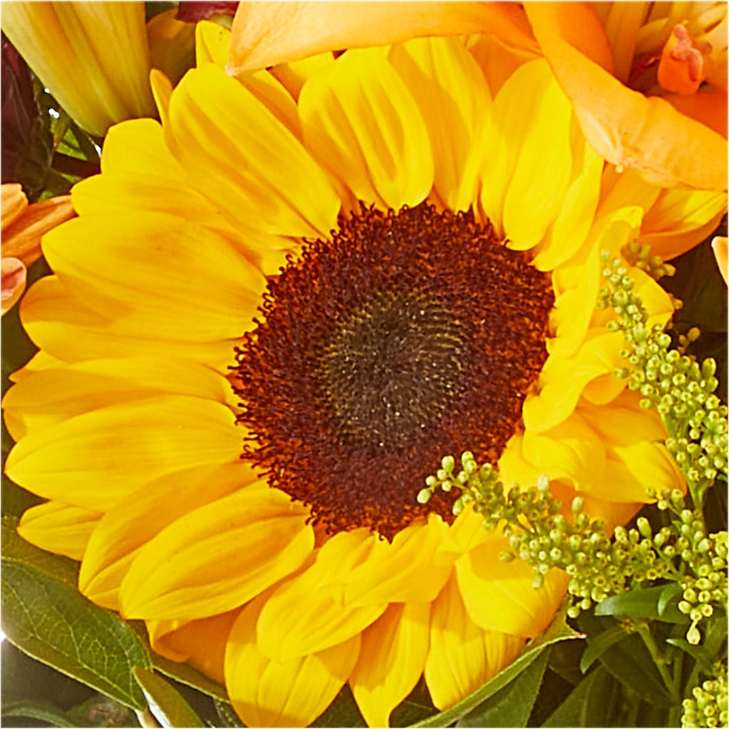 Seasons Change Bouquet –  Rosemary Flower Shop Inc, Wappingers Falls NY