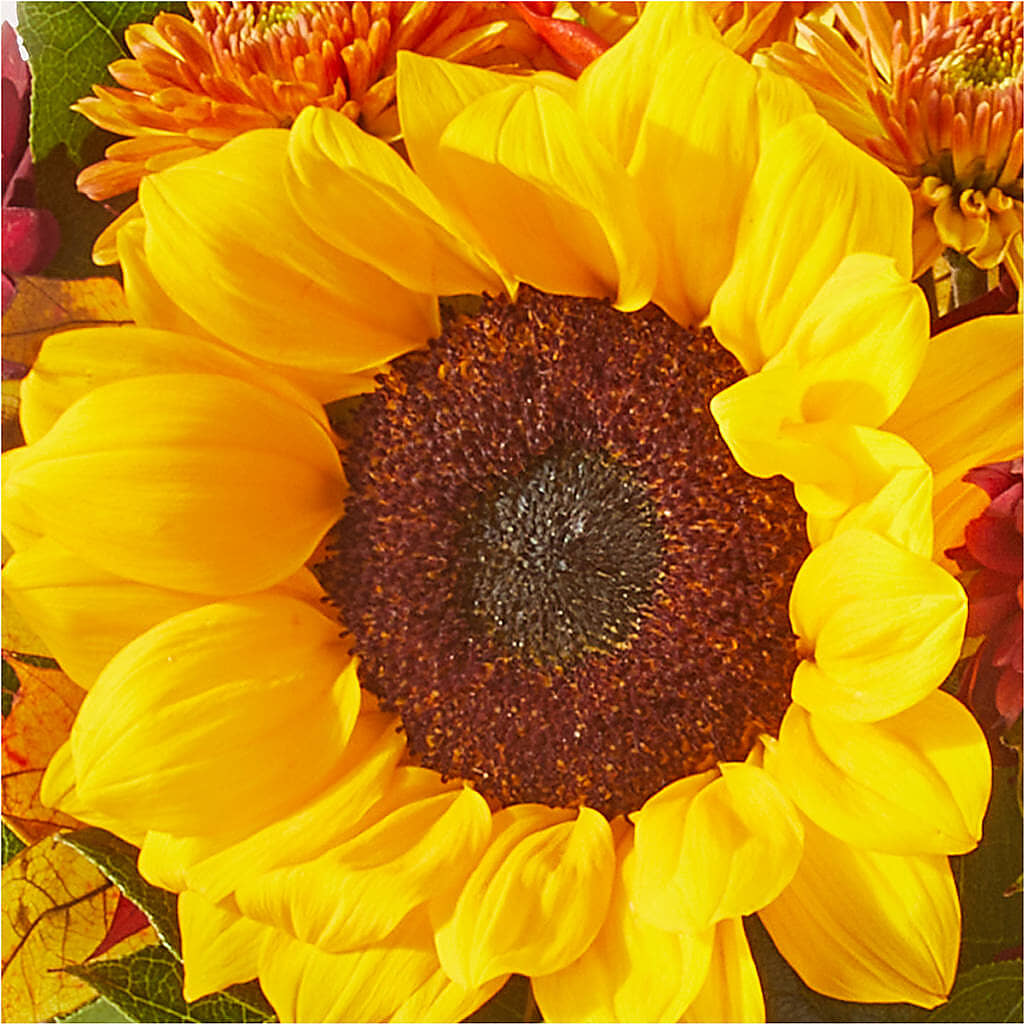 Sunny Side Bouquet –  Rosemary Flower Shop Inc, Wappingers Falls NY