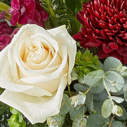 Cranberry Fizz Bouquet –  Rosemary Flower Shop Inc, Wappingers Falls NY