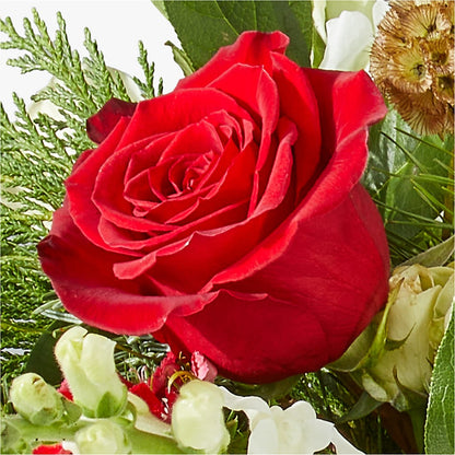 Deck the Halls Bouquet –  Rosemary Flower Shop Inc, Wappingers Falls NY