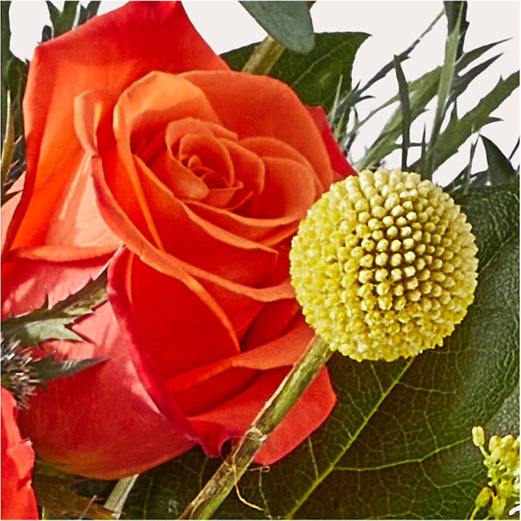 Disco Bouquet –  Rosemary Flower Shop Inc, Wappingers Falls NY