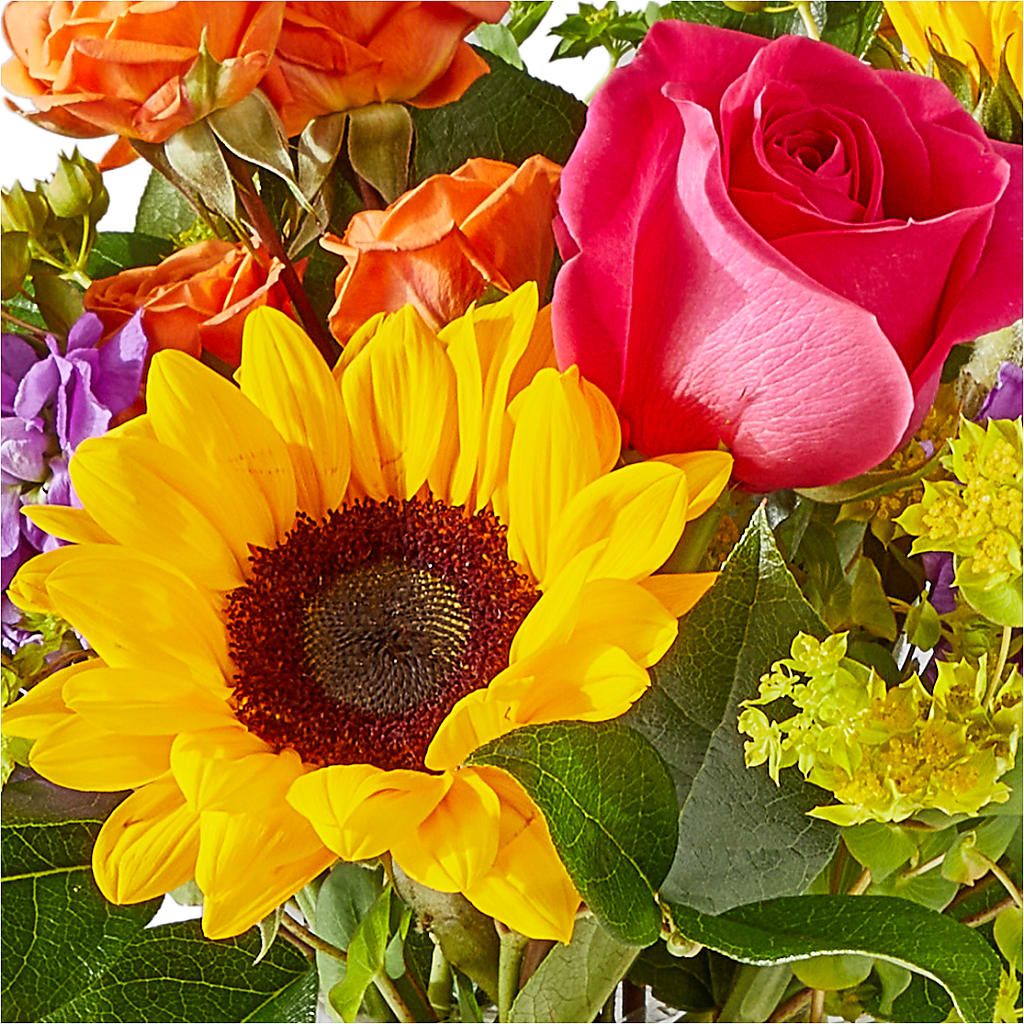 Vibrant Greetings Bouquet –  Rosemary Flower Shop Inc, Wappingers Falls NY