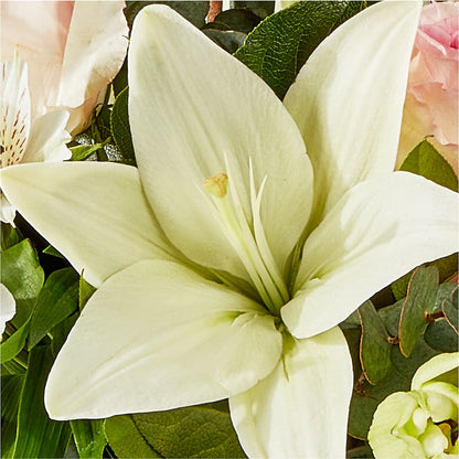 Ballet Slippers Bouquet –  Rosemary Flower Shop Inc, Wappingers Falls NY